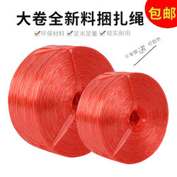 Plastic Rope Binding Rope Packing Rope Tear-Resistant Strapping Rope Packaging Rope New Material Colorful Plastic Tie Nylon Rope
