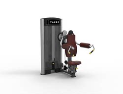 Yangrui Yanre Gym Commercial Seated Shoulder Elevation Trainer for Deltoid Muscle Training and Local Strength Equipment
