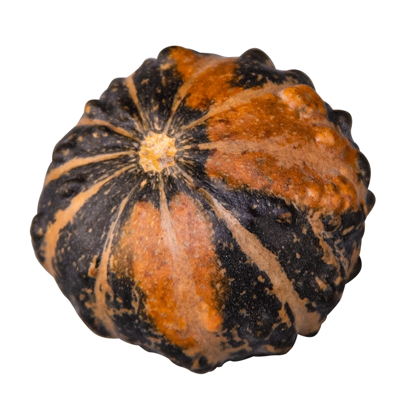 文玩堂：南瓜墩（雷蒙锤） 文玩堂：南瓜墩（雷蒙锤）