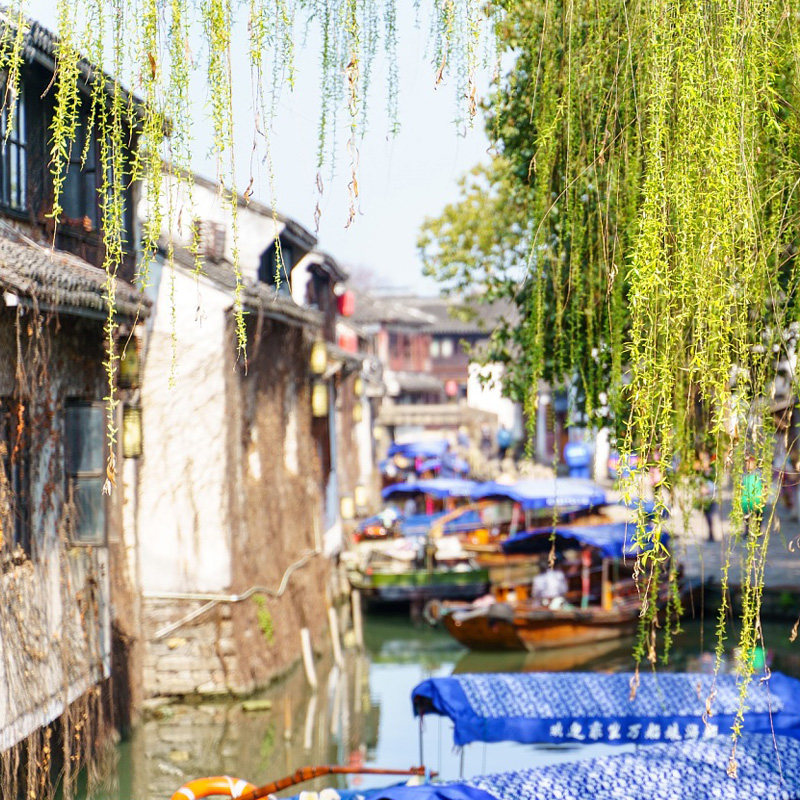 上海出发 苏州+杭州+乌镇4天3晚跟团游 狮子林 寒山寺雷峰塔