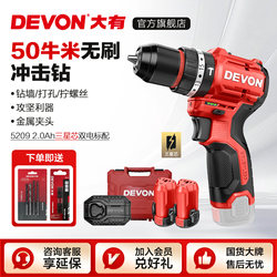 Dayou 12V Brushless Impact Drill 5209 Lithium Electric Drill 50N High Torque Hand Drill Rechargeable Drill Electric Screwdriver