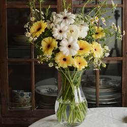 Vase Decoration for Living Room, Nordic Style, Glass Transparent, for Fresh Flowers, Water Cultivation, Creative Trumpet Mouth, Large Mouth for Tabletop