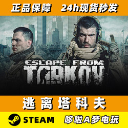 Steam Genuine Version Escape from Tarkov Brand New Account Clean Account Global Region