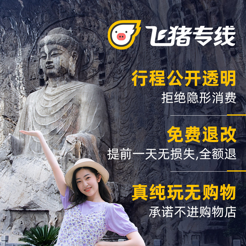 【20人小团】洛阳一日游龙门石窟白马寺洛阳博物馆洛阳旅游讲解