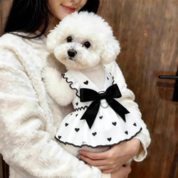 Thin Dog Clothes with Bowknot, Summer Outing Dress, Princess Dress with Leash Attachment, Pet Cat Anti-Shedding