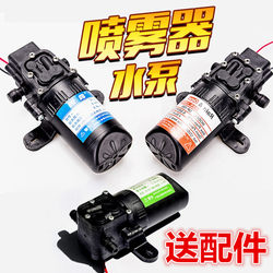 Electric Sprayer Water Pump 12V Agricultural Diaphragm Micro High-Pressure Self-Priming Car Wash Pesticide Machine High-Power Dual Pump