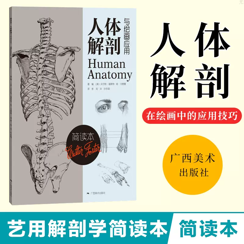 简读本 人体解剖与绘画应用人体解剖常识绘画应用技巧内容精炼紧凑