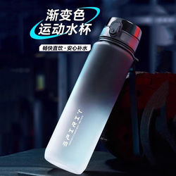 Large-Capacity, High-Temperature-Resistant Water Cup for Boys, Fitness Frosted Gradient Water Bottle, Thickened Student-Specific Sports Cup for School Use