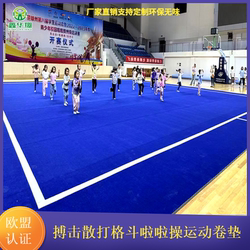 Cheerleading Roll Mat, Taekwondo, Boxing, Fighting, Martial Arts, Sanda, Jiu-Jitsu, Dance, Gymnastics, Physical Training Mat