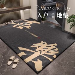 High-End 2026 New Model Entrance Door Mat, Non-Slip and Dirt-Resistant, Premium Entryway Carpet, Foot Wiping Mat