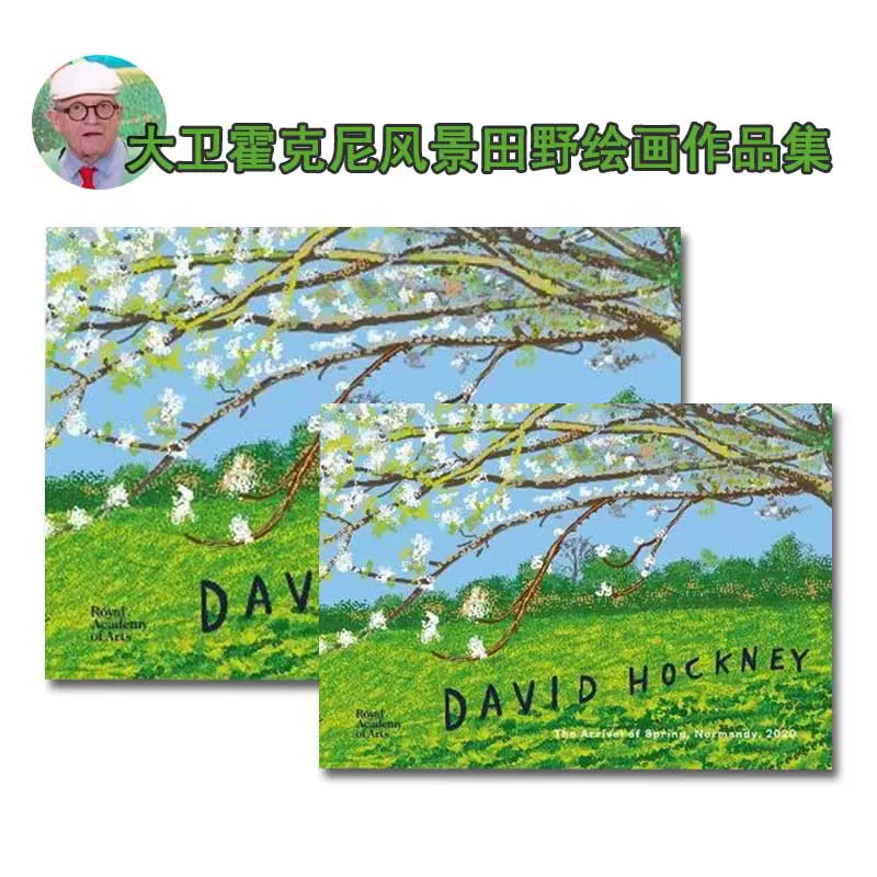 现货包邮David Hockney 大卫霍克尼画册春天到来IPad绘画-Taobao