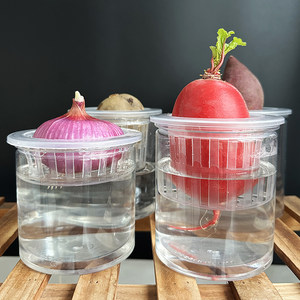 
Hydroponic garlic container plastic transparent cylindrical flowerpot potato sweet potato bean planting basket planting bottle vegetables