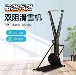 Wind Resistance and Magnetic Resistance Dual-Resistance Ski Machine for Commercial and Home Use, Indoor Simulated Resistance Training, Multi-Functional Aerobic Exercise and Fitness