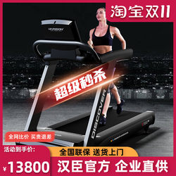 Harison Commercial Luxury Treadmill Gym-Specific Silent Shock-Absorbing Sports Fitness Equipment T3610
