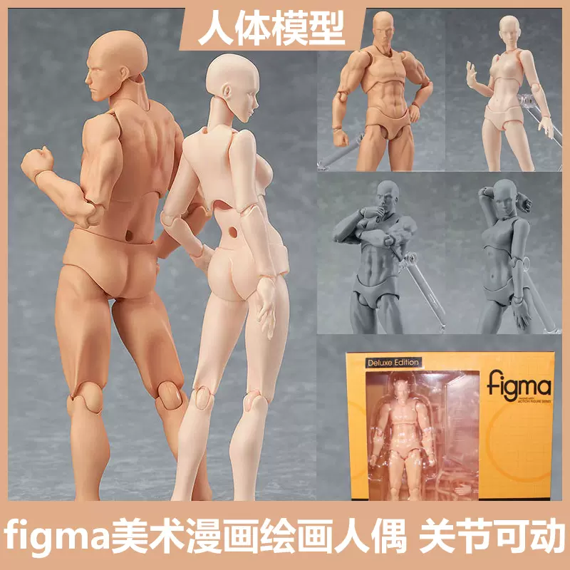 figma 人体模型 New FREEing figma Human Anatomical Model From Japan | eBay