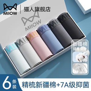 Cat men's underwear pure cotton four corners 2025 new anti-short antibacterial damp boy boxer shorts men's style