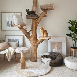 Solid Wood Tree-Shaped Cat Climbing Frame, Cat House, Cat Tree, Large Cat Shelf, Pure Natural Wood Cat Scratching Board, Cat Post, Special for Cat Cafes