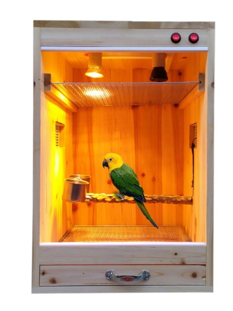 Parrot Incubator Wooden Box Temperature Control Hand-Raised Baby Bird ...