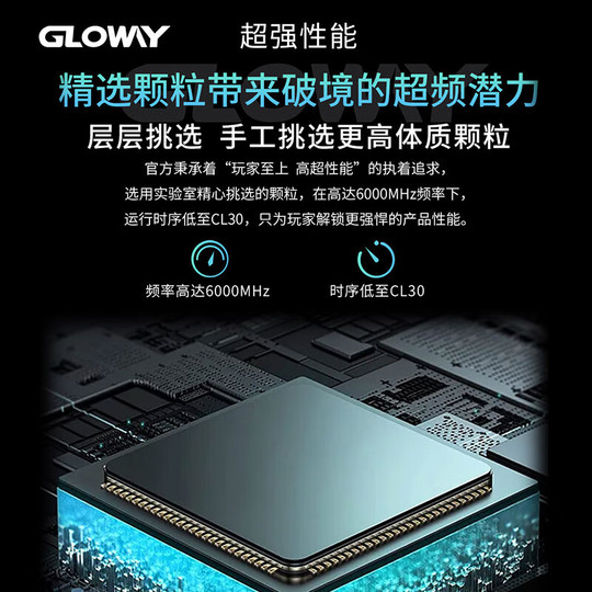 Gloway Longwu 32GB (16GBx2) DDR5 6000/6400/6800 Desktop Memory