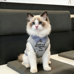 Cat Spring and Summer Clothing, Faux Two-Piece Polo Shirt, Pet Clothes for Ragdoll, Golden and Silver Shaded Blue Cats, Small and Medium-Sized Cats