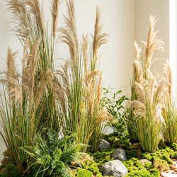 Simulated Reed Green Plant Potted Fake Plant Landscaping Bionic Reed Grass Bonsai Living Room Guesthouse Decoration Floor-Standing Ornament