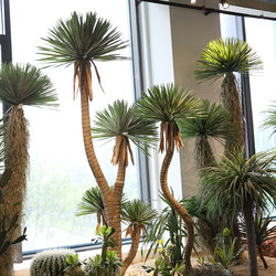 Simulated Agave Dragon's Blood Tree Potted Plant for Mall Exhibition Hall Tropical Succulent Plant Landscaping Decoration Artificial Green Plant Ornament