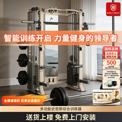 Head Home Gym Multi-Function Bench Press Squat Rack Bird Dips Smith Machine Comprehensive Training