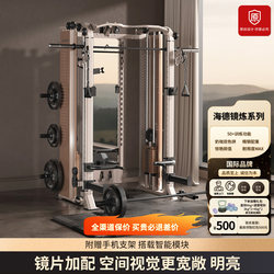 Head Hyde Mirror Light Luxury Commercial Smith Machine Bench Press Squat Rack Bird Machine Comprehensive Training Equipment