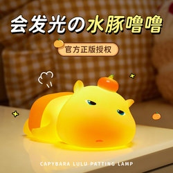 Birthday Gift for Girls, New Year's Day Gift for Best Friends and Friends, Practical Capybara Night Light