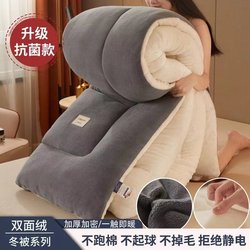 Lamb Wool Quilt, Winter Quilt, Thickened and Warm, Winter Dormitory Single Student Winter Space Quilt Core