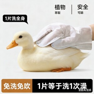 Pets -free gloves Disposable bathing artifact Pets deodorizing dry cleaning cats, dogs wet towel, special

