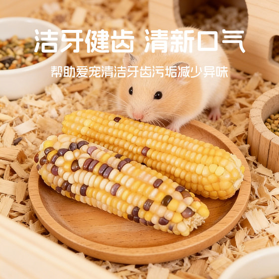 
Hamster molar corn small corn molar stick rabbit boredom relief toys snack supplies golden bear food artifact