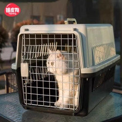 Cat Carrier Portable Travel Cage for Cats and Dogs, Airline Crate, Pet Backpack, Space Capsule, Car Transport, Anti-Stress