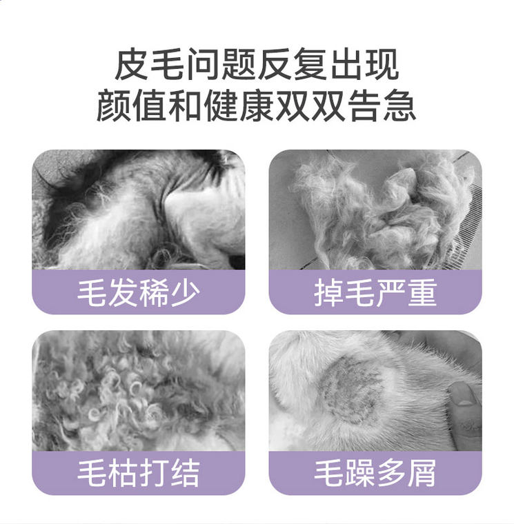 Dogs and cats fish oil lecithin supplement nutrition antihair loss cat and dog nutrition skin