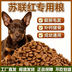 
Soviet Red Dog 40*0.5kg large package beef flavor dog food nutritionally balanced adult dogs and puppies daily feeding after one month