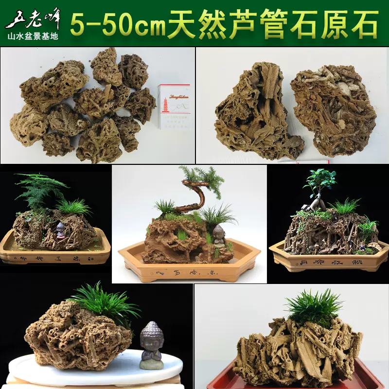 天然上水石吸水石植物山石盆景原石假山石头奇石水旱盆景创意礼品-Taobao