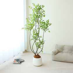 Z1 Nantian Bamboo Artificial Green Plant Large-Scale Simulated Plant High-End Light Luxury Floor-Standing Fake Potted Plant Living Room Decoration Ornament Flower