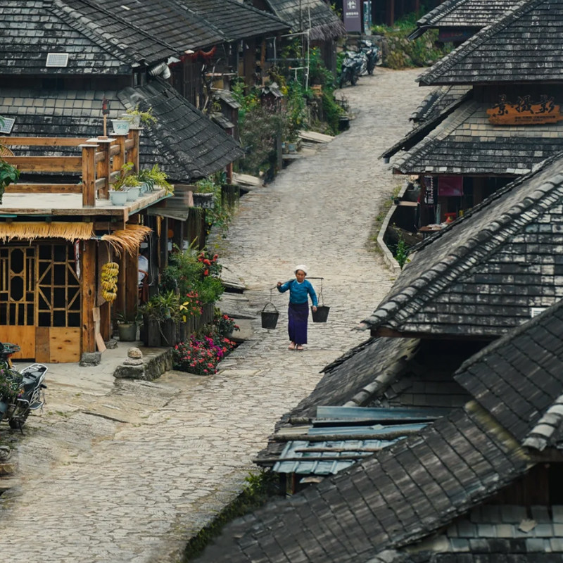 bikego云南 景迈山3天2晚 世遗传承茶山漫游2-10人小团纯玩旅游