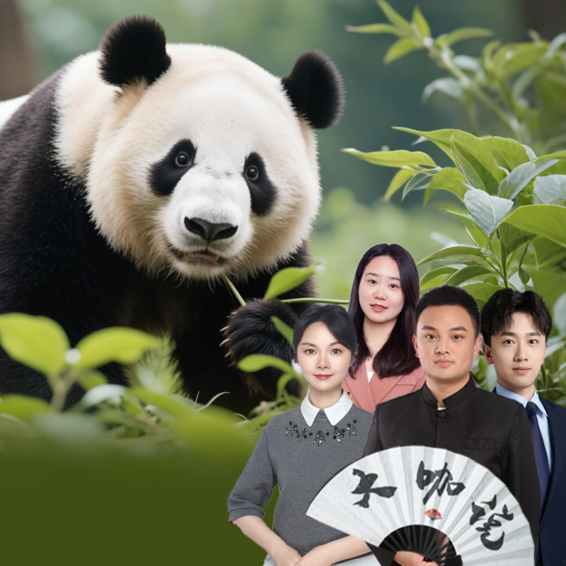 大咖说&bikego成都熊猫基地揭秘熊猫逆袭之路·2.5H讲解10/15人团