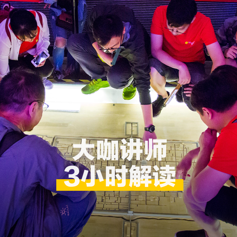 大咖说&bikego西安博物院小雁塔讲解3小时含门票15人小团跟团游