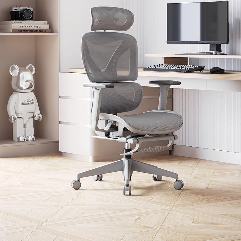 mua ghế công thái học tại An Giang