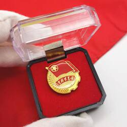 2cm Standard Type of the Communist Youth League (Cyl) Badge, Magnetic Pin for School Students and Young People