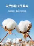 Găng tay trắng, cotton nguyên chất, bộ đồ ăn, nghi thức trắng, thoáng khí, mỏng, cotton, chỉ chống mài mòn, bảo hiểm lao động cho nam Găng tay vải