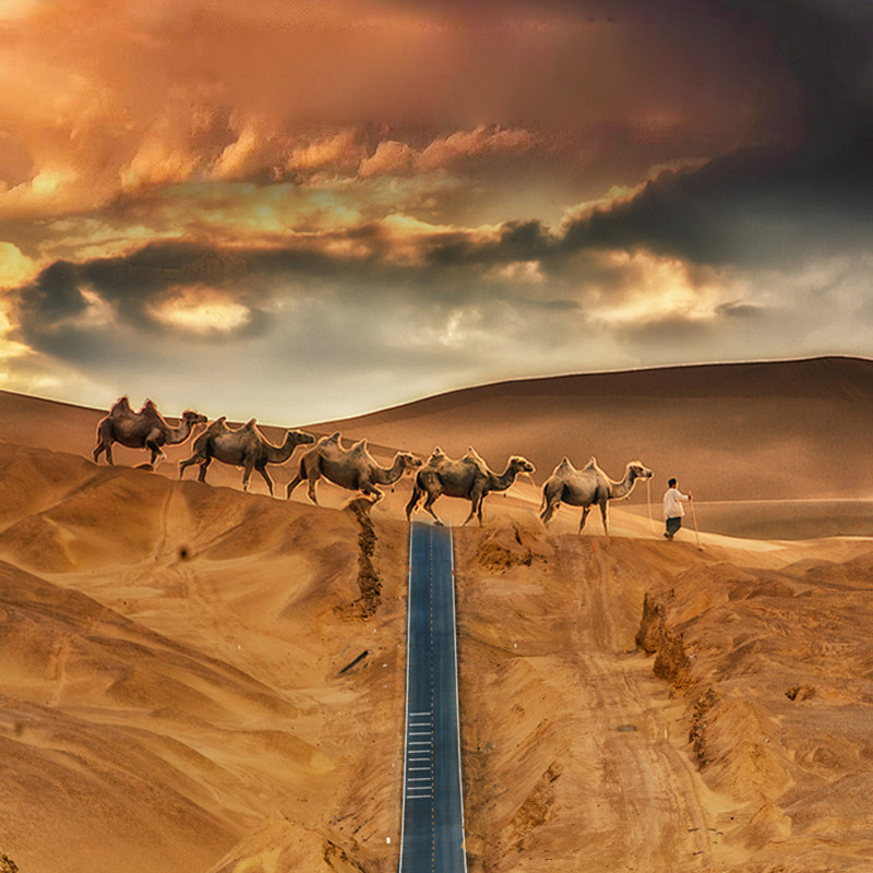 【独立成团+4钻酒店】青甘大环线青海湖茶卡盐湖丹霞6天5晚