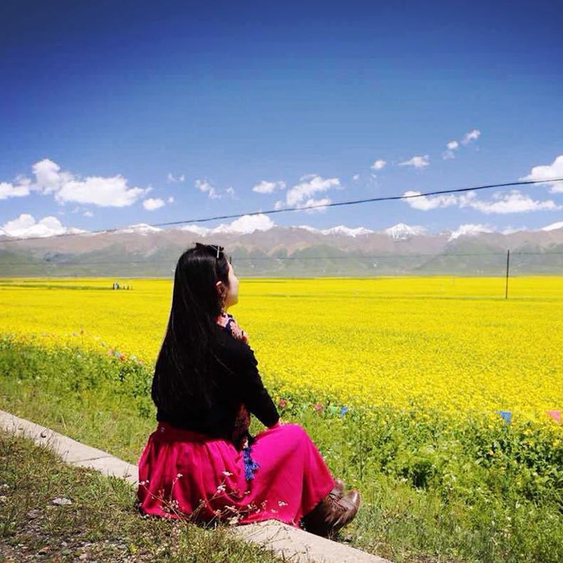 青海湖二日游青海旅游2天1晚西宁青海湖茶卡盐湖拼车二日游纯玩