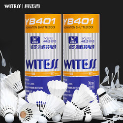 Witess Eyewitness Badminton Balls, Durable 3-Pack, Not Easy to Break, Durable King Badminton Training Balls, Special Ya401