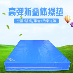 Braun Flip Mat Gymnastics High Jump Mat Taekwondo Training Mat Martial Arts Fire Climbing Protective Mat Sponge Mat