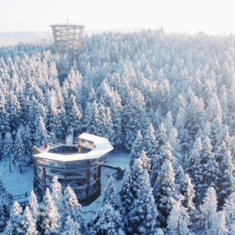【冰雪仙女山】重庆武隆仙女山滑雪一日游玩雪真纯玩可选树顶漫步