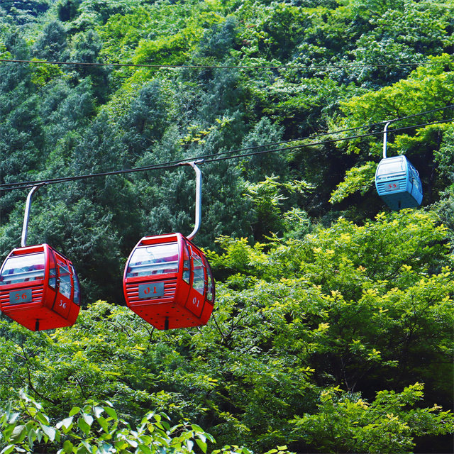 重庆武陵山大裂谷一日游816地下核工程乌江画廊游船纯玩跟团游