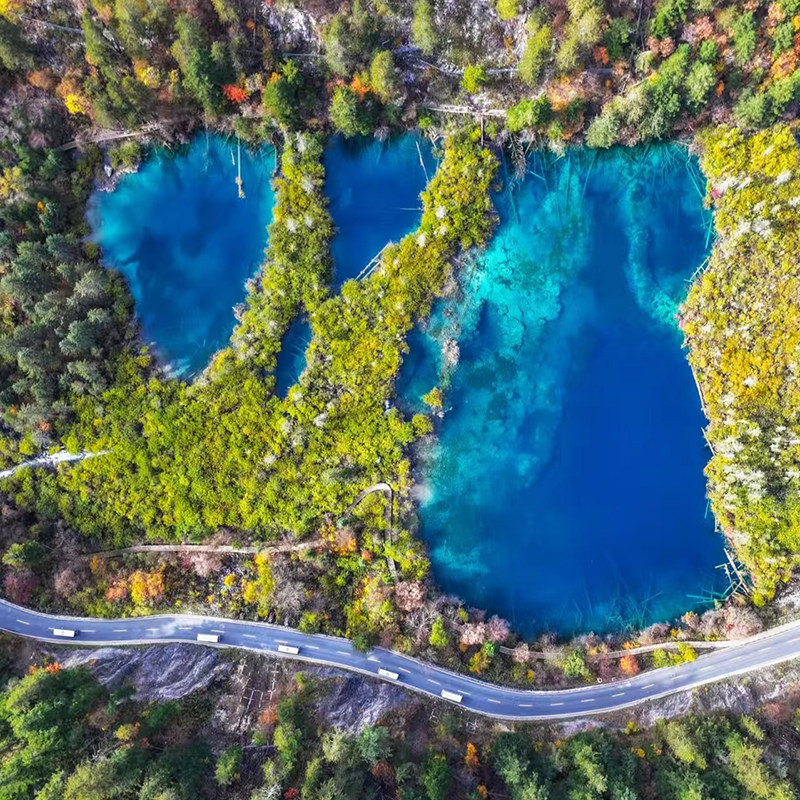 8人纯玩小团 含机票四川九寨沟旅游动车进出九寨旅拍5天4晚跟团游